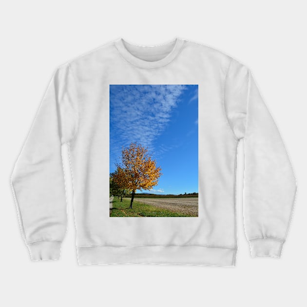 Autumnal Tree Crewneck Sweatshirt by jojobob